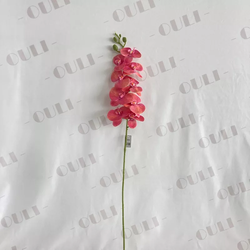 luxury white silk phalaenopsis
