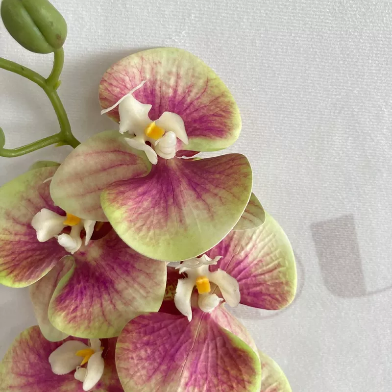 premium silk orchid stem